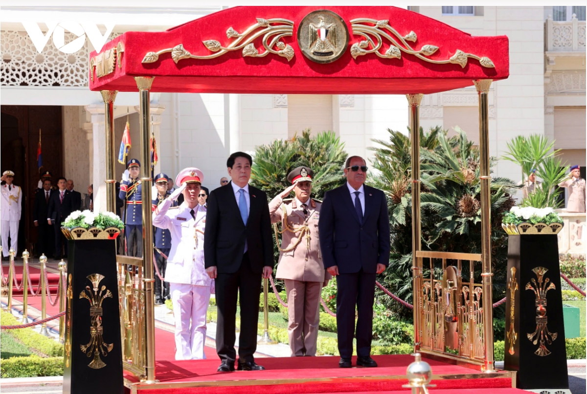 President Luong Cuong warmly welcomed in Cairo on State visit to Egypt